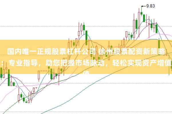 国内唯一正规股票杠杆公司 徐州股票配资新策略：专业指导，助您把握市场脉动，轻松实现资产增值