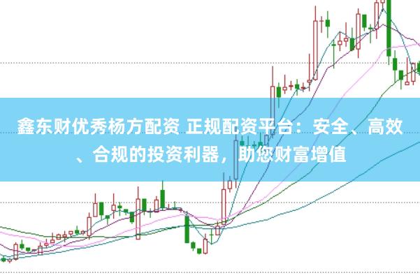 鑫东财优秀杨方配资 正规配资平台：安全、高效、合规的投资利器，助您财富增值