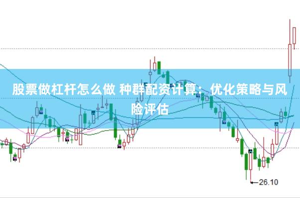 股票做杠杆怎么做 种群配资计算：优化策略与风险评估