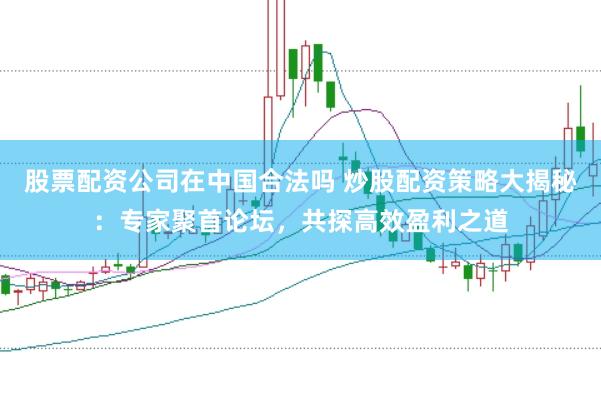 股票配资公司在中国合法吗 炒股配资策略大揭秘：专家聚首论坛，共探高效盈利之道