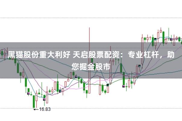 黑猫股份重大利好 天启股票配资：专业杠杆，助您掘金股市