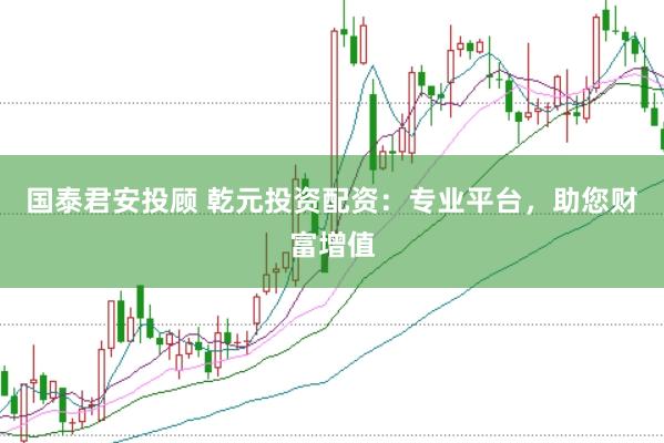 国泰君安投顾 乾元投资配资：专业平台，助您财富增值