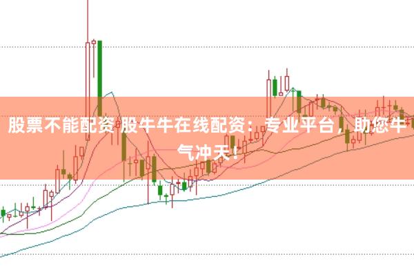 股票不能配资 股牛牛在线配资：专业平台，助您牛气冲天！