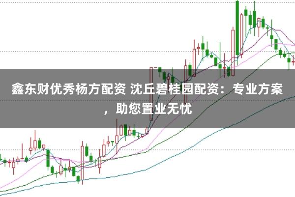 鑫东财优秀杨方配资 沈丘碧桂园配资：专业方案，助您置业无忧