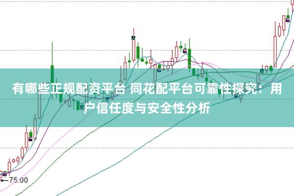 有哪些正规配资平台 同花配平台可靠性探究：用户信任度与安全性分析