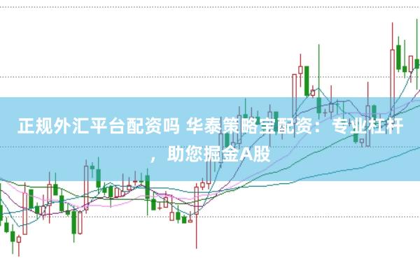 正规外汇平台配资吗 华泰策略宝配资：专业杠杆，助您掘金A股